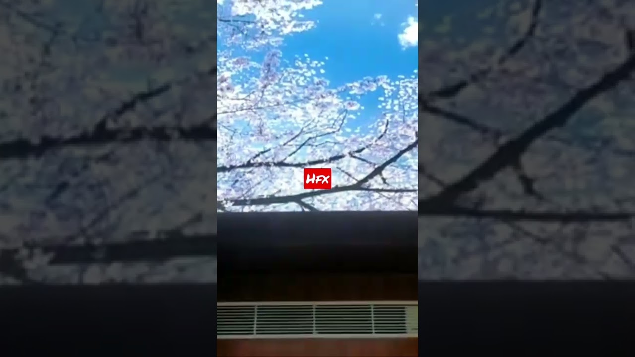 Printed Stretch Ceiling light 