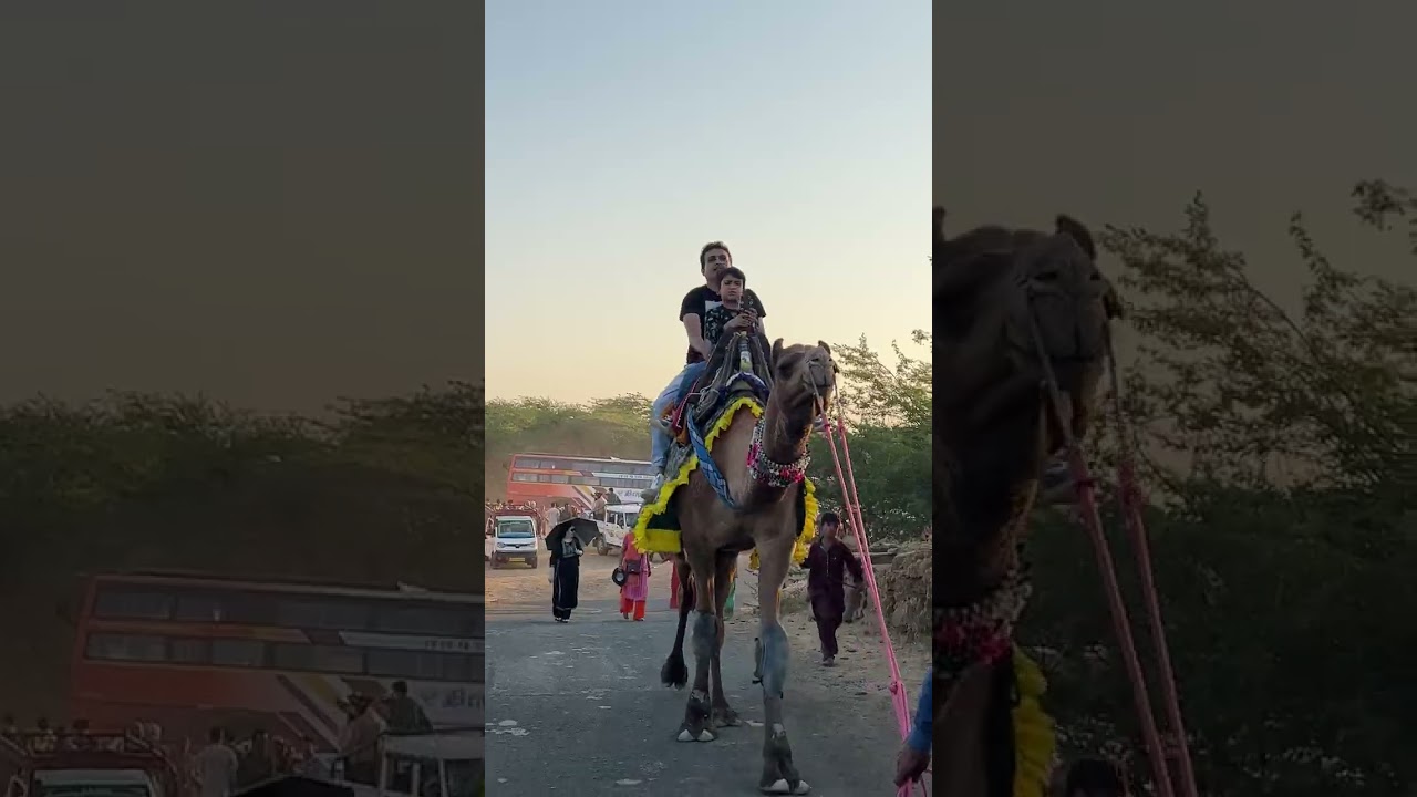 Rann Utsav in 10 seconds. #shorts