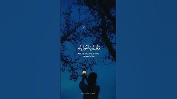 سورة المؤمنون - آيات ٩٧،٩٨،٩٩،١٠٠القارئ | اسلام صبحي #ستوريات #قران_كريم