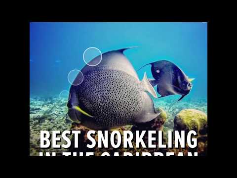 best-snorkeling-in-the-caribbean-|-cheapcaribbean.com