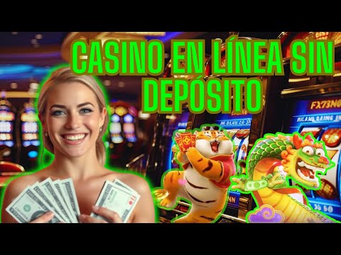 Boxer Raccoon vs Red panda #casino #jackpot #slot #slots #slotmachine #viral #shotrs #bigwin