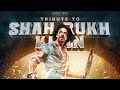 Shah rukh khan birt.ay mashup 2023  tribute to srk  vibin varghese  dropart remix