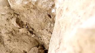 Schubert serenade euphonium 2018 0402
