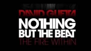 Nothing Really Matter(David Guetta ft Will.i.am)