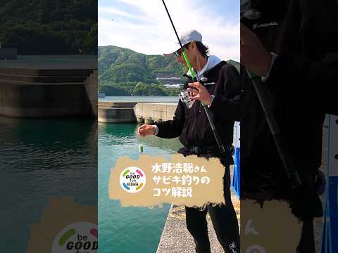 サビキ釣りでたくさん釣るためのコツ！【be GOOD fun EGG】#shorts