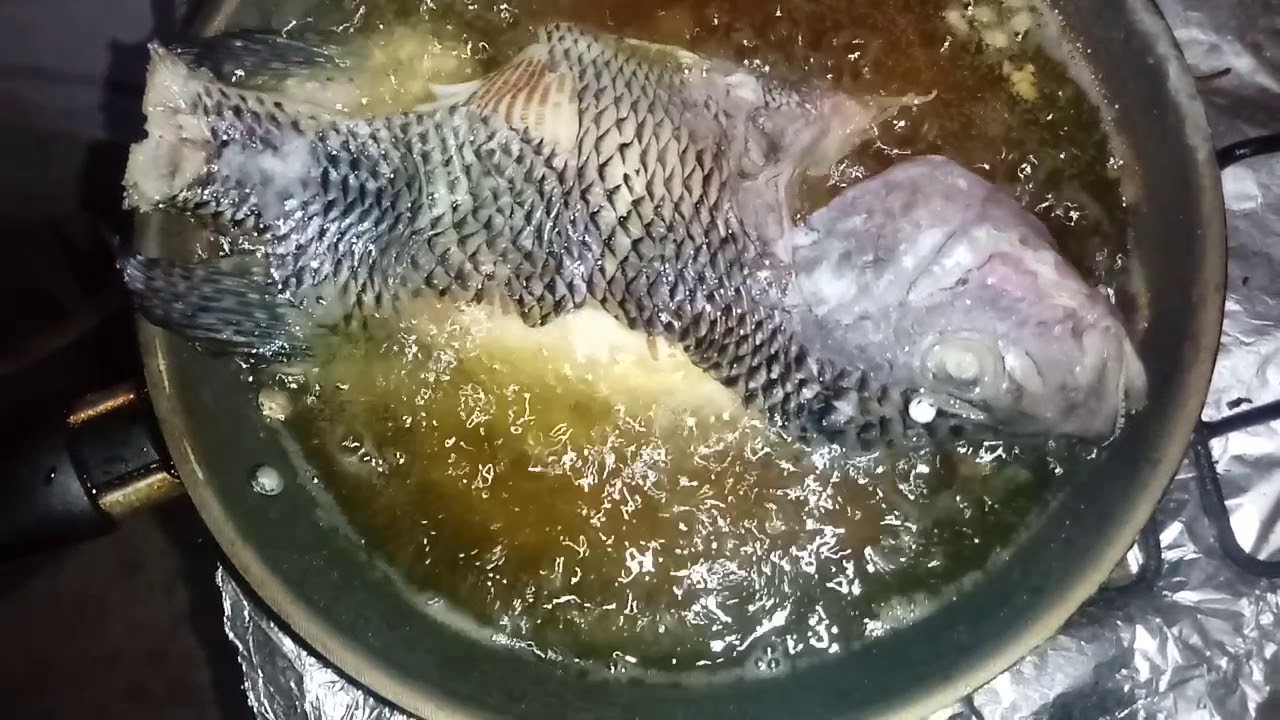 fritar tilapia YouTube