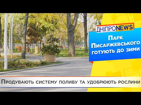 Дніпровські парки готують до холодів