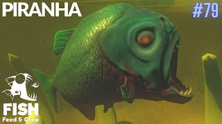 Feed And Grow Fish : Piranha