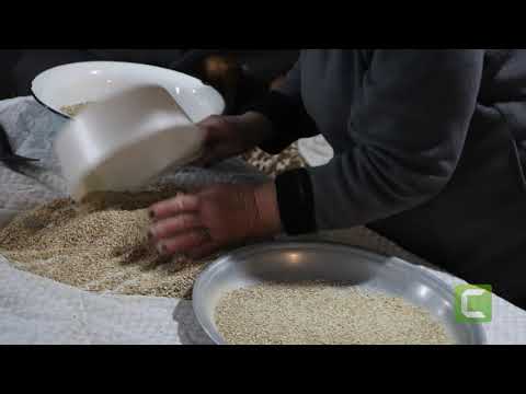 ქუმელის მომზადება/ საგარეჯოს მე 4 საჯარო სკოლის  ცხოვრებისეული ღირებულებების ცენტრი