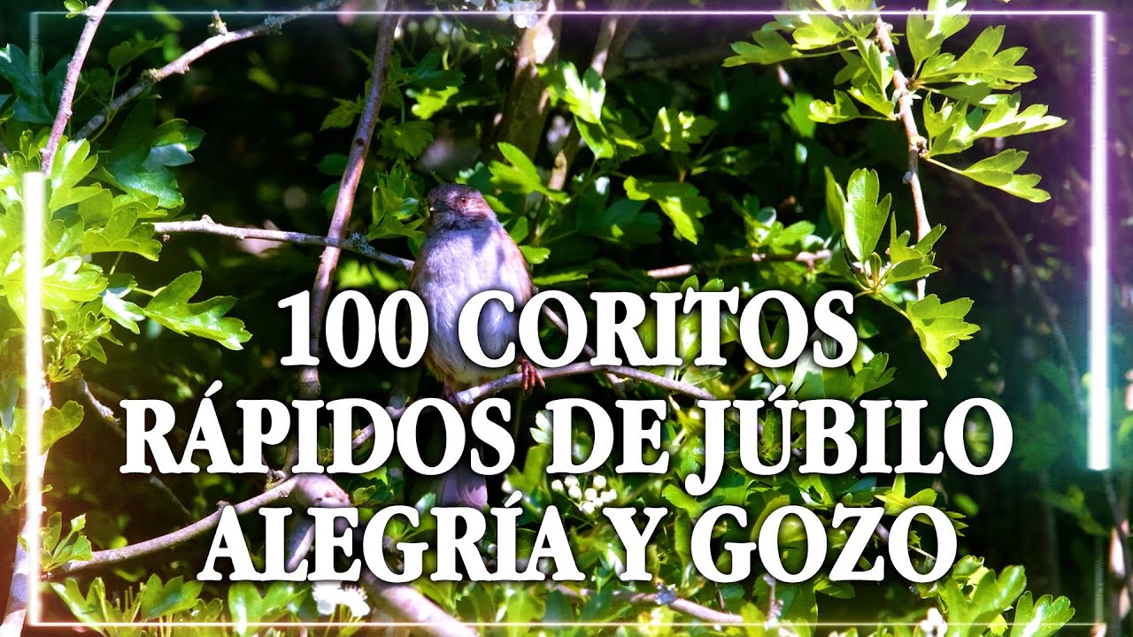 100 Coritos Rápidos De Júbilo Alegría Y Gozo 🔥 Coros De Fuego Pentecostes 🔥 Alabanzas De Avivamiento