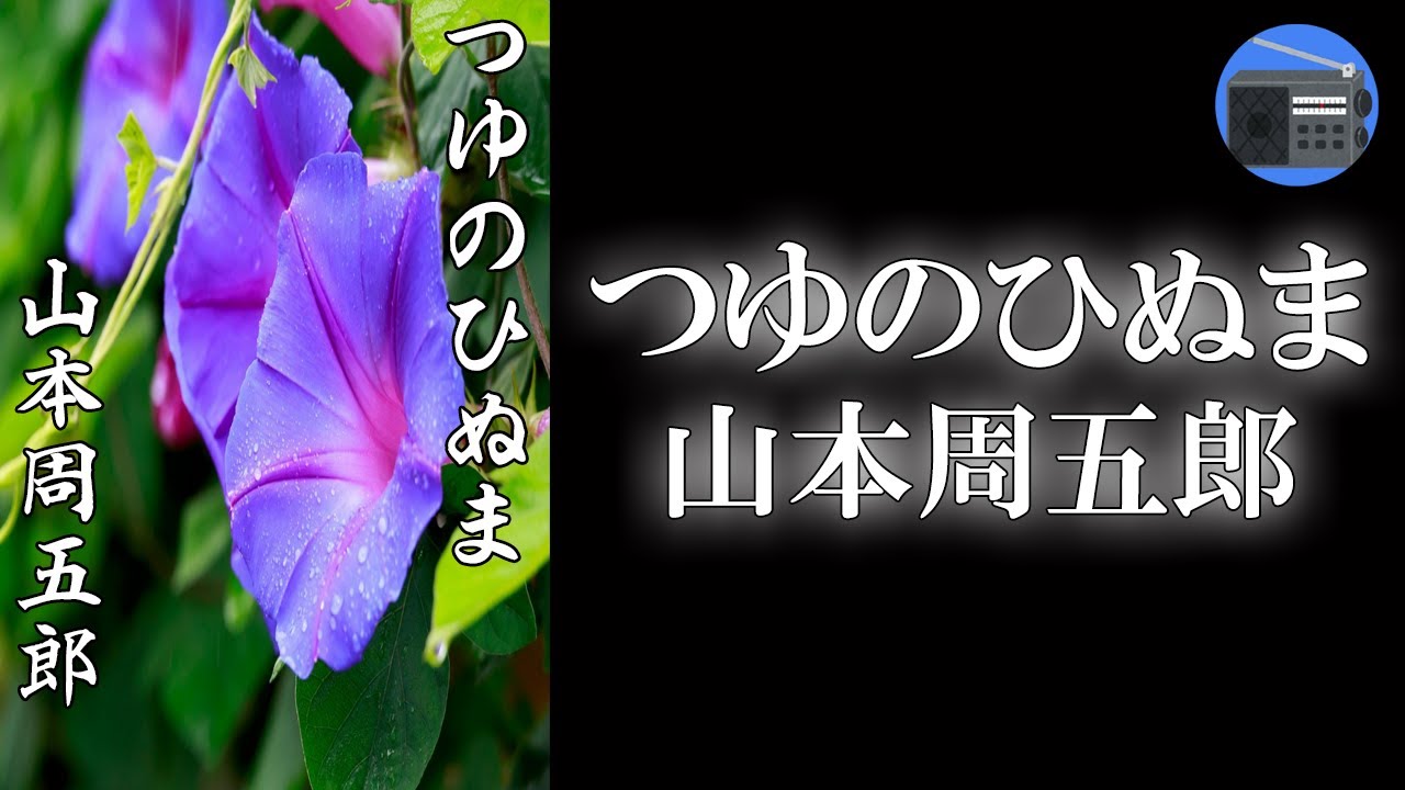 【朗読】「つゆのひぬま」娼家に働く女の一途なまごころに、虐げられた不信の心が打負かされる姿を感動的に描いた人間讃歌！【フィクション／山本周五郎】