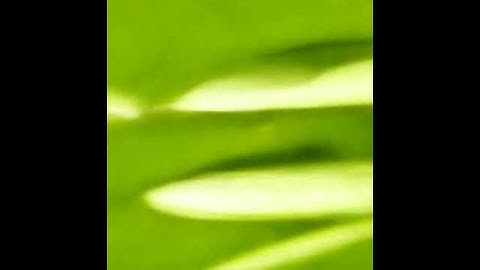 CLIP Guided Diffusion (Text-to-Image): plants