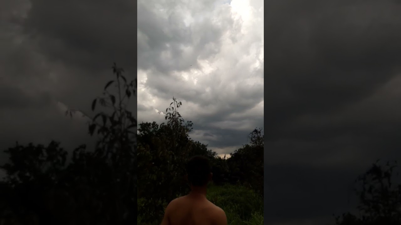 Video YouTube