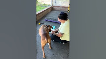 Monday morning giggles 🤣