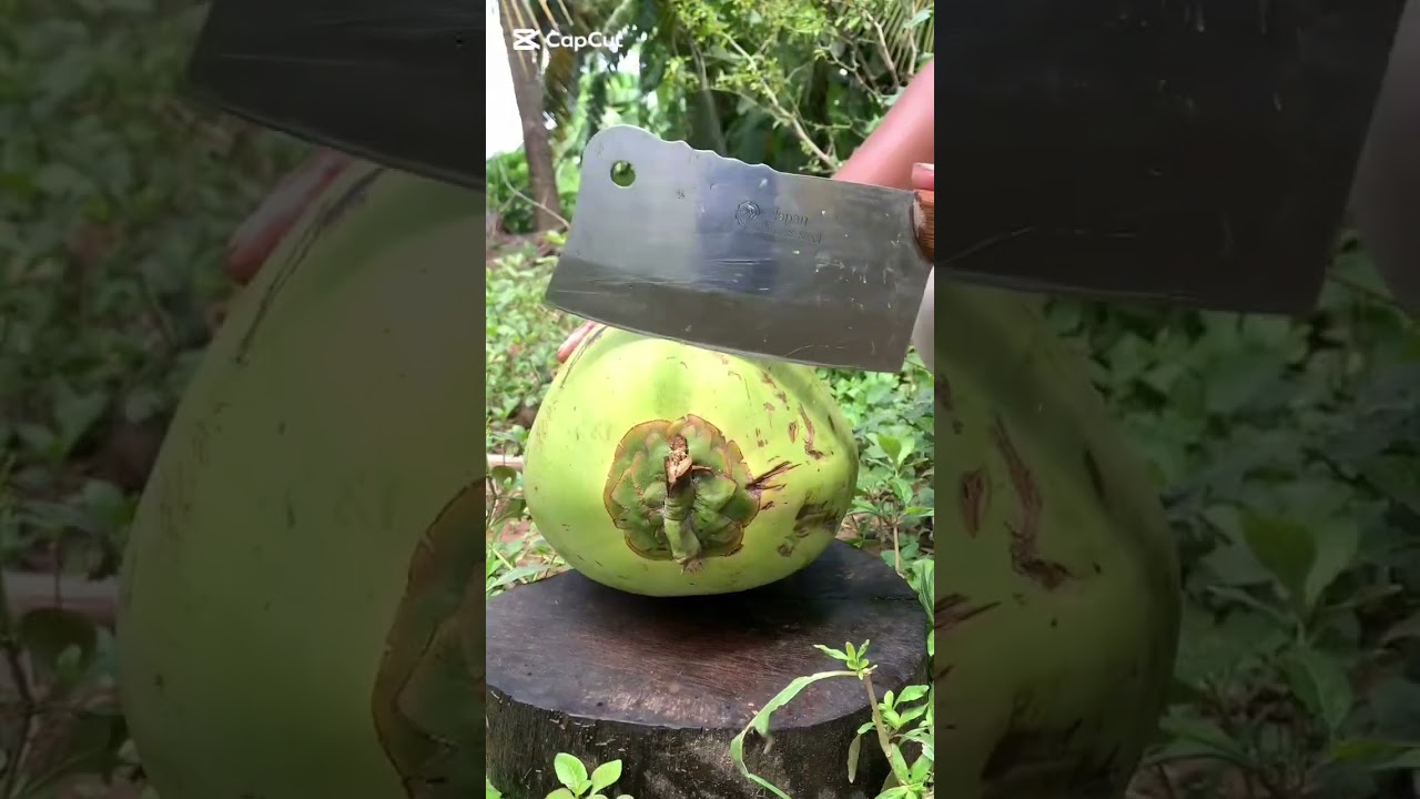 Perfect ASMR   Coconut Cutting Skills 