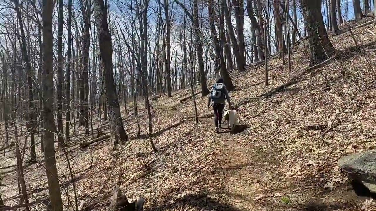 Cole Mountain Appalachian Trail Hike