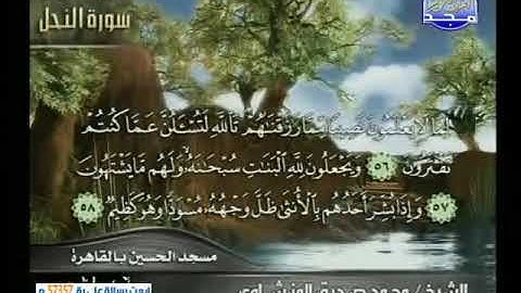 ما تيسر من سورة النحل  المنشاوي تلاوة نادرة