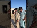 Tiger 🐅 in village 😱 u #shortsfeed #funny #islamicstoriesinurduandhindi #comedy #entertainment
