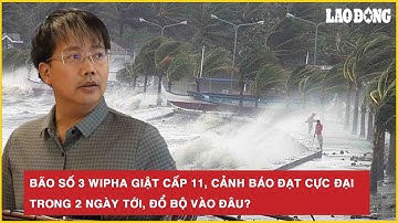 Bão số 3 Wipha giật cấp 11, cảnh báo đạt cực đại trong 2 ngày tới, đổ bộ vào đâu?