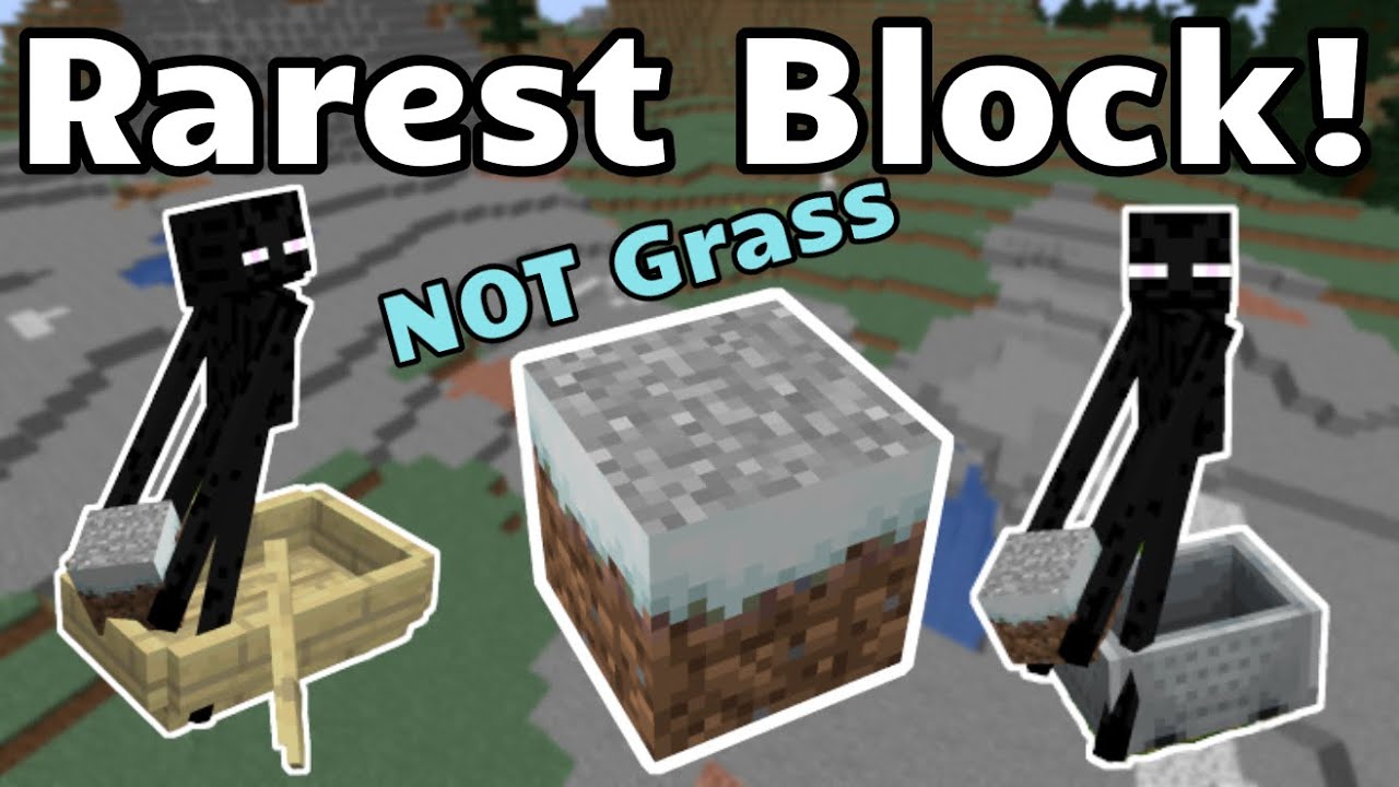 Rarest Block in Minecraft (Minecraft Java) - YouTube