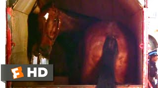 Police Academy (1984) - Someone Call A Veterinarian! Scene (8\/9) | Movieclips