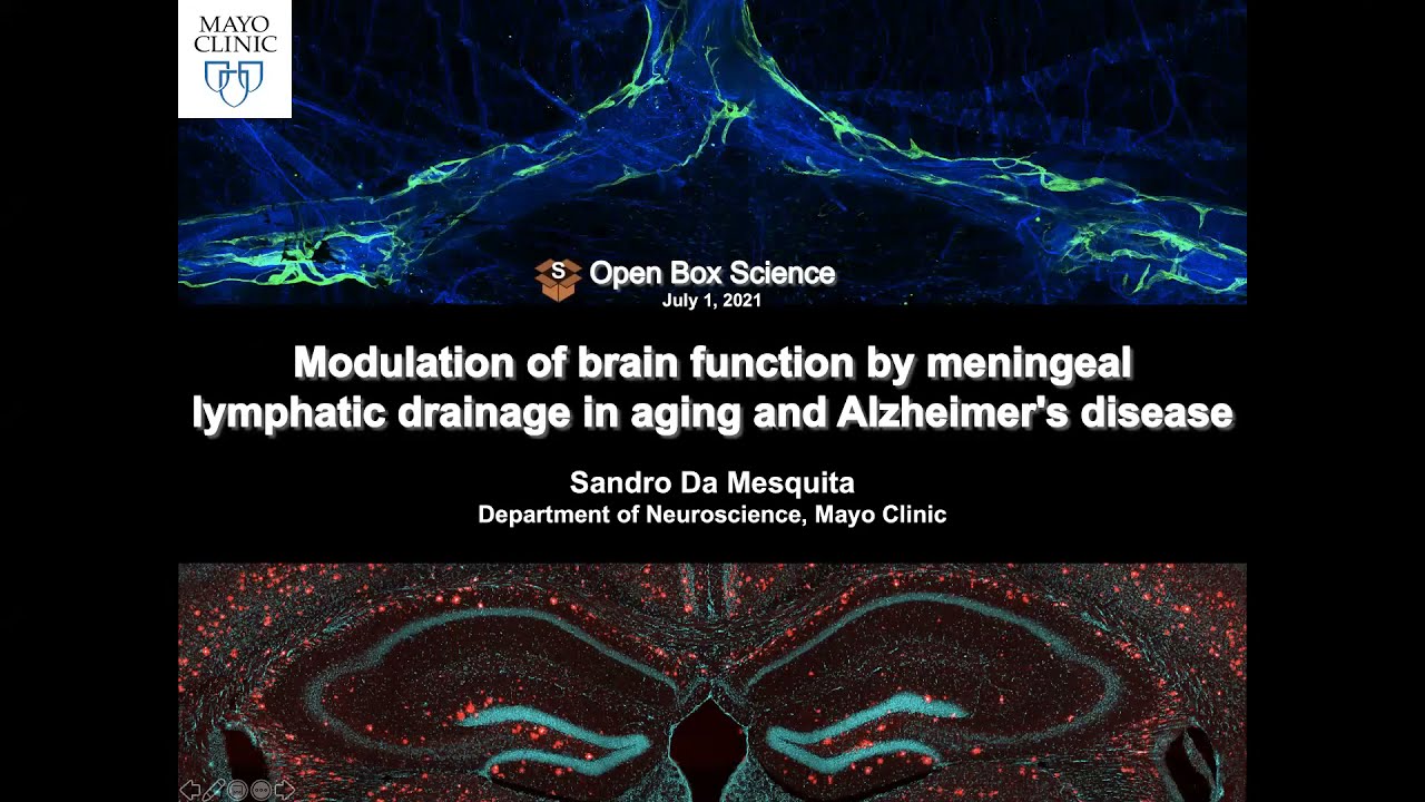 [Sandro Da Mesquita] Modulation of brain function by meningeal lymphatic drainage in aging and...