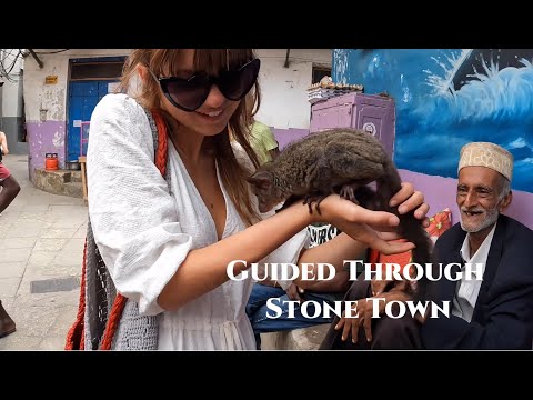 Guided Through Stone Town
