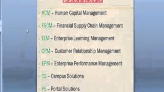peoplesoft hcm  technical on line  demo by industry expert   I people soft videos screenshot 2