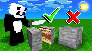 *CAKE OR FAKE* CHALLENGE IN MINECRAFT!