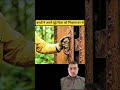 Bhude aadmi ko ghar se nikala #shortsfeed #comedy #viral