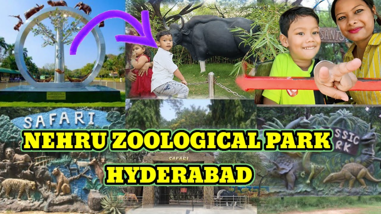 NEHRU ZOOLOGICAL PARK HYDERABAD Complete Details Timings Entry Fee NEHRU ZOOLOGICAL PARK HYDERABAD Complete Details Timings Entry Fee