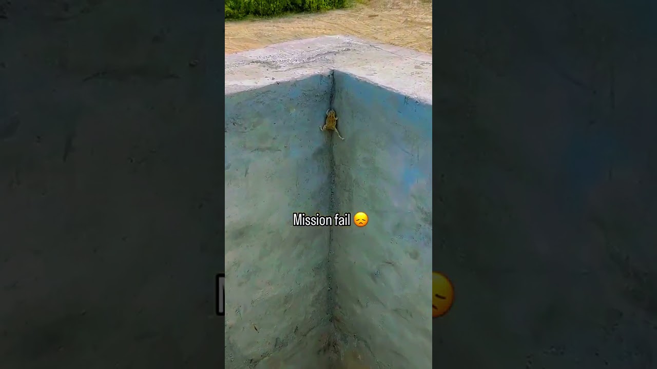 con cóc này dã bị mắc kẹt trong cái giếng này hai ngày.