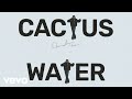 Channel Tres Cactus Water Audio mp3