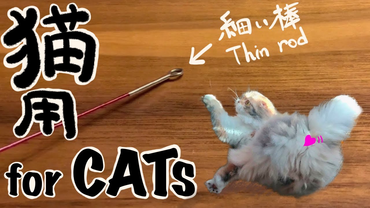 【猫用動画】細い棒 / 【VideoForCats】THIN ROD