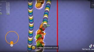 Story wa cacing 30 detik