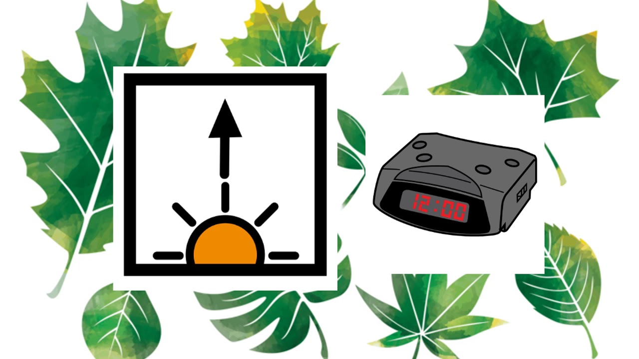 Todo concuerda - El Canto del Cuco video editing software free