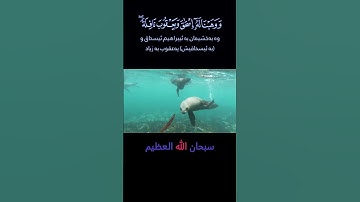 Surat Al-Anbiya Idris Abkar || سورة الأنبياء |  الشيخ إدريس أبكر