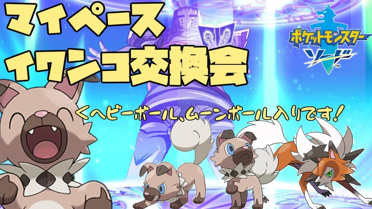 交換配布 マイペースイワンコ交換会 詳細は概要欄参照 ポケモン剣盾 Youtube
