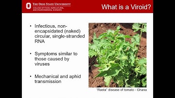 Introduction To Plant Pathogens Lecture 1
