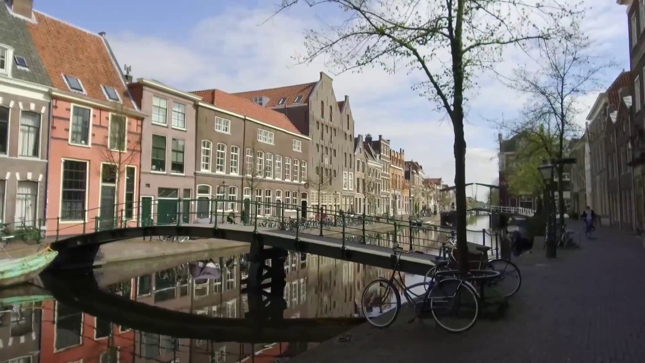 Leaves Apartments YouTube