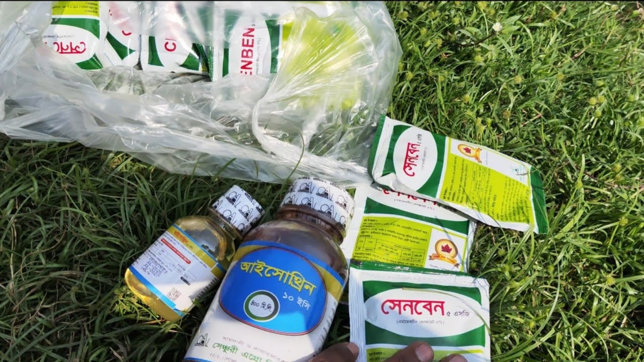 ১১০ শতক জলকরের একটি পুকুরে কীটনাশক দিচ্ছি