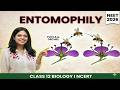 Entomophily in One Shot 🔥 | Yucca &amp; Orchid Pollination Explained | NEET Biology