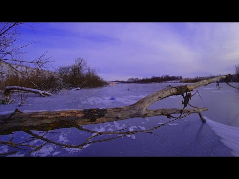 РЫБАЛКА НА ЖЕРЛИЦЫ! ПЕРВЫЙ ЛЁД 2023 - 2024!