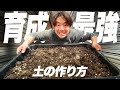 【土づくり】植物がよく育つ土の作り方と計算方法を教えます[観葉植物][多肉植物][アガベ][塊根植物][洗脳土]