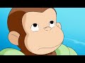 Georges le petit singe  george et les tortues  dessins anims