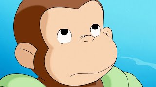 Georges Le Petit Singe George Et Les Tortues Dessins Animés
