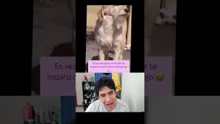 Un consejo sabio