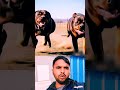 ​Unbelievable Animal Encounter!  #Shorts #animals