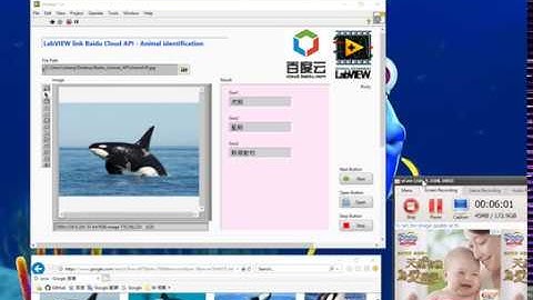 62 LabVIEW link Baidu Cloud API - Animal identification