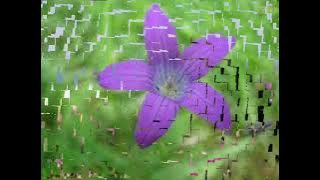 Antonio Vivaldi - Cztery Pory Roku - Wiosna